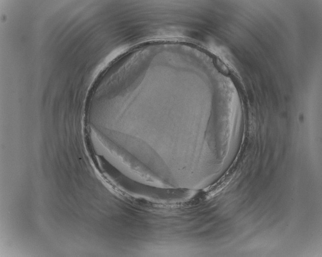 X0000066521237200604071544