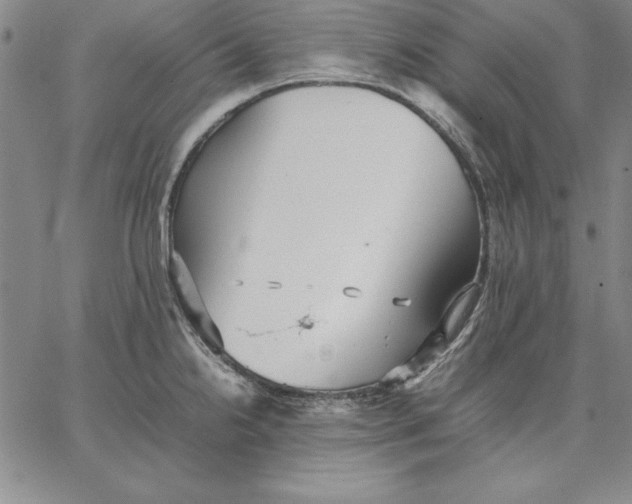 X0000066521238200604071544