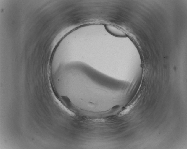 X0000066521239200604071544