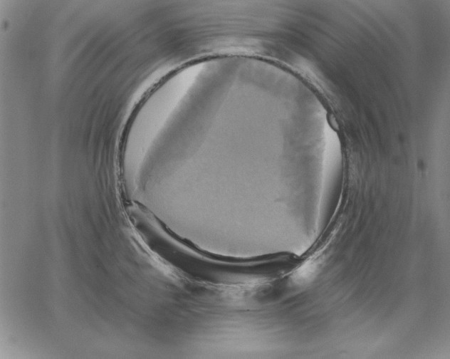 X0000066521240200604071544