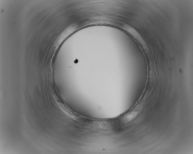 X0000066521242200604071544