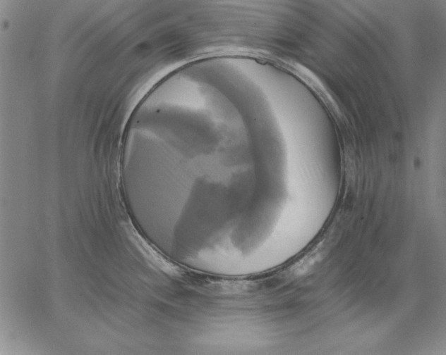 X0000066521244200604071544