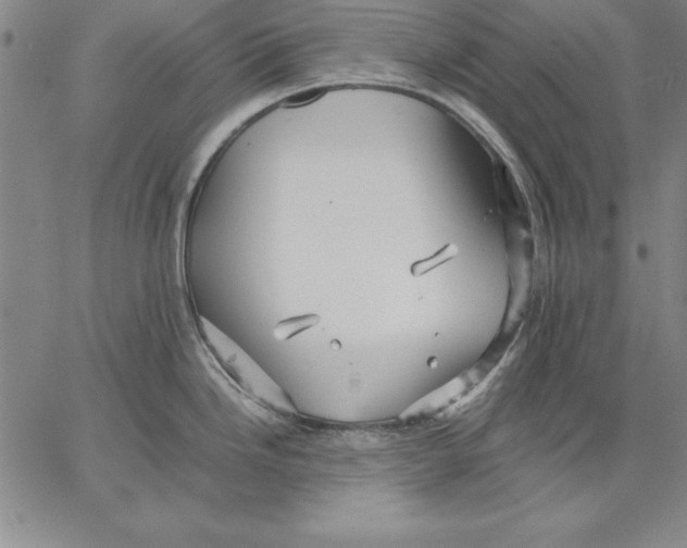 X0000066521246200604071544