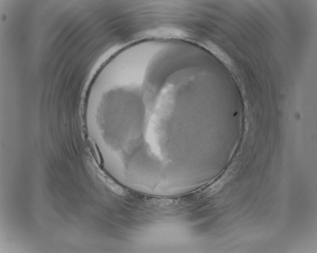 X0000066521248200604071544