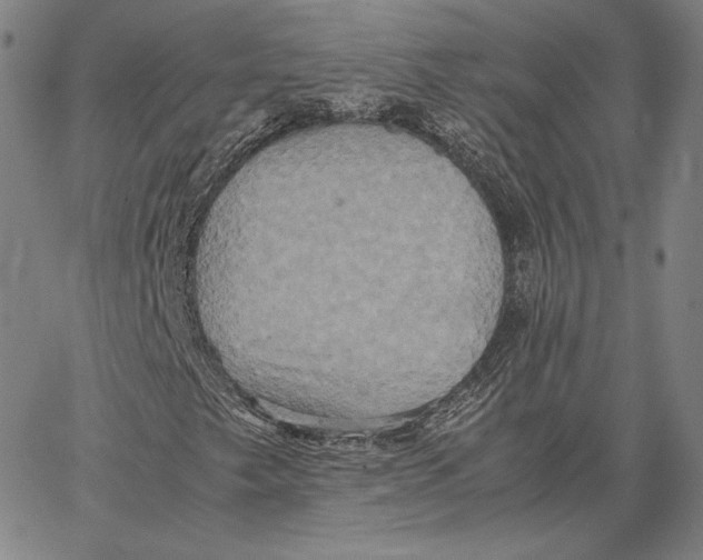 X0000066521249200604071543