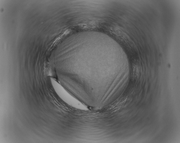 X0000066521250200604071543