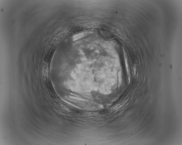 X0000066521251200604071543