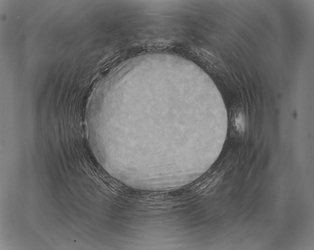 X0000066521252200604071543