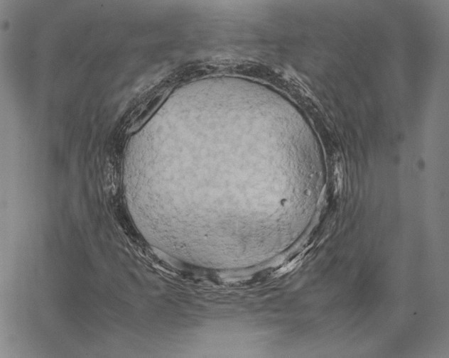 X0000066521253200604071543