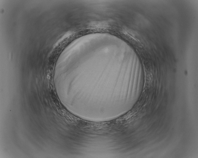 X0000066521254200604071543