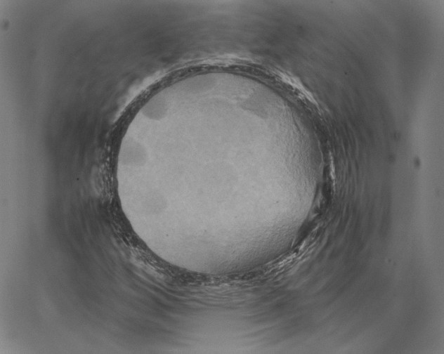 X0000066521256200604071543