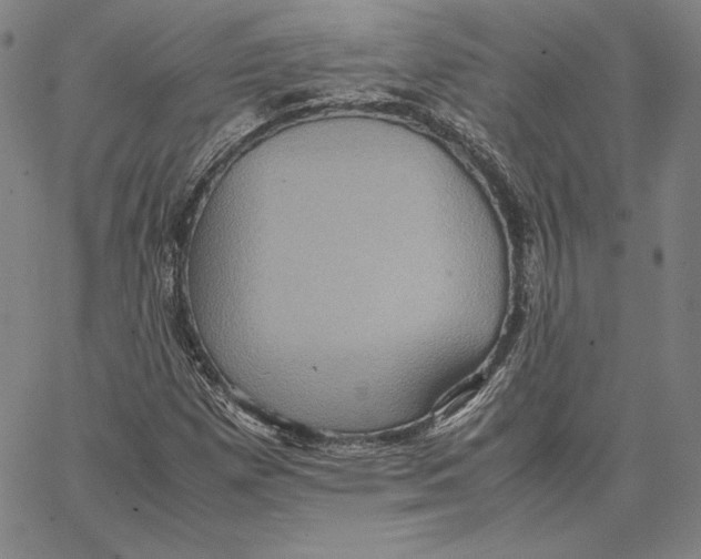 X0000066521257200604071543