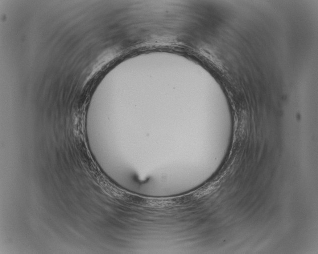 X0000066521258200604071543