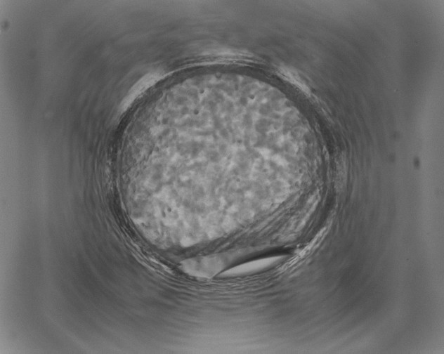 X0000066521259200604071543