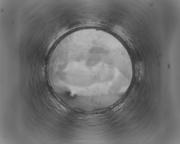 X0000066521260200604071543