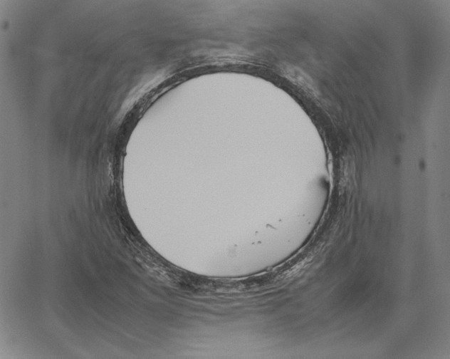 X0000066521261200604071543