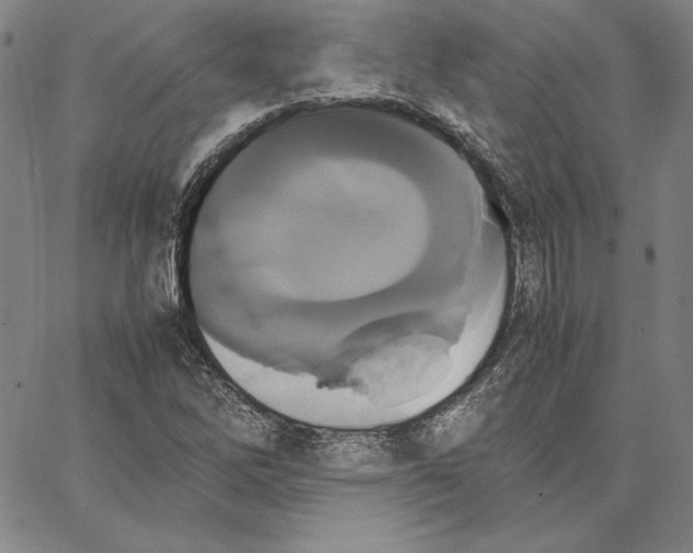 X0000066521262200604071543