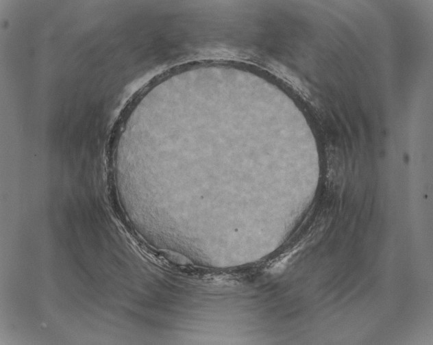 X0000066521264200604071543