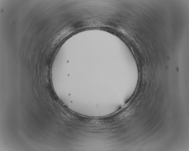 X0000066521265200604071543