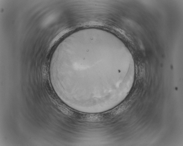 X0000066521266200604071543