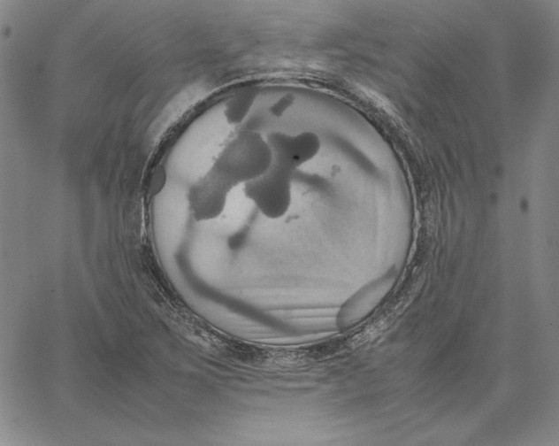 X0000066521267200604071543