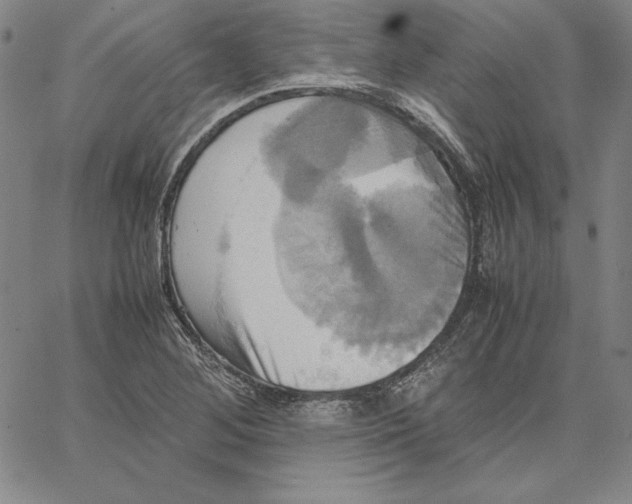 X0000066521268200604071543