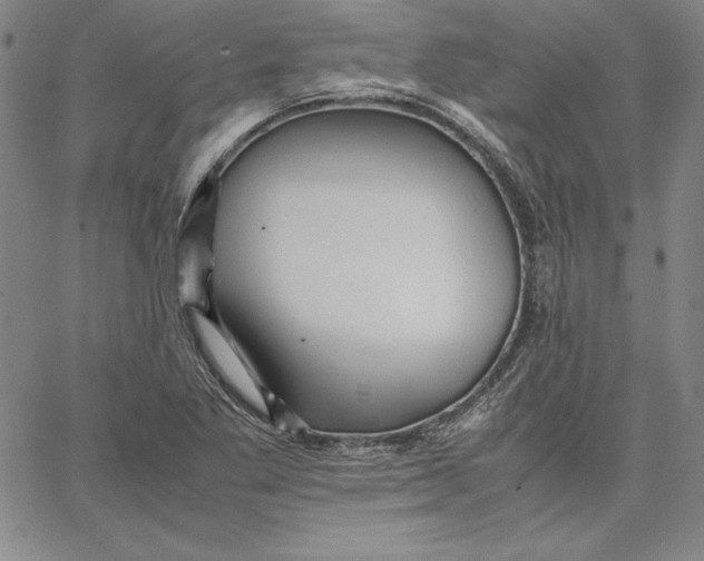 X0000066521269200604071543