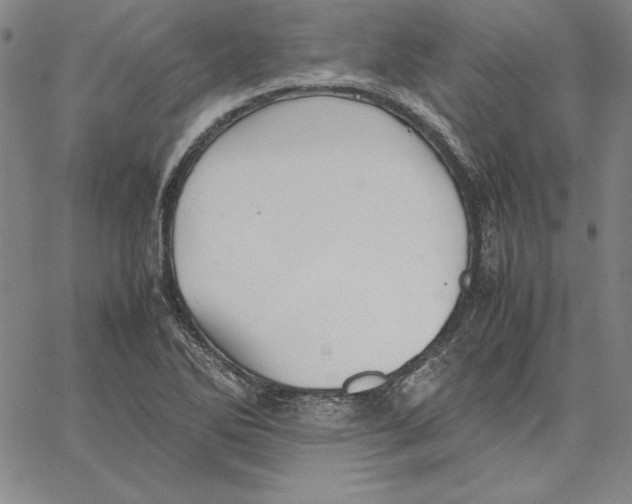 X0000066521270200604071543