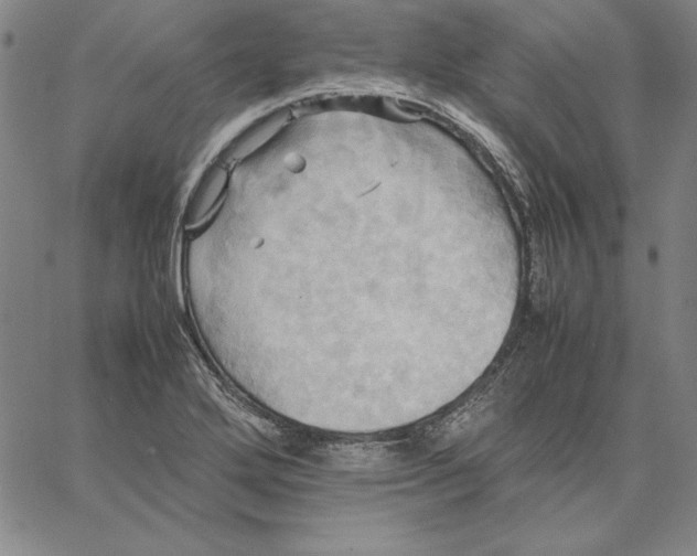 X0000066521272200604071543