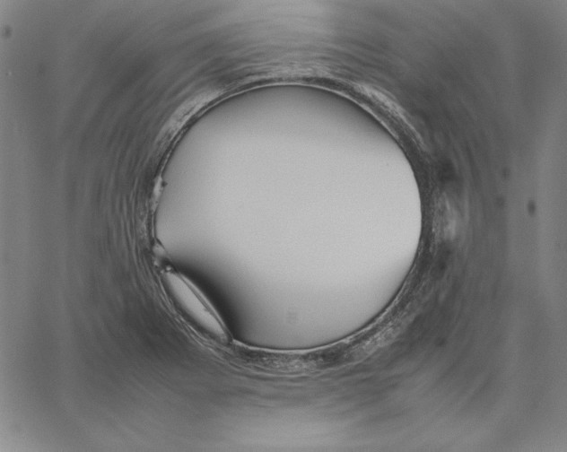 X0000066521273200604071543