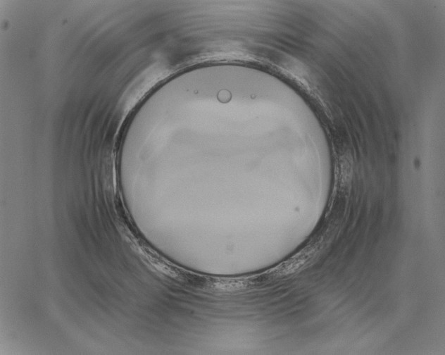 X0000066521274200604071543