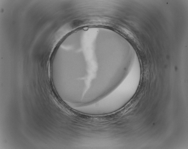 X0000066521275200604071543