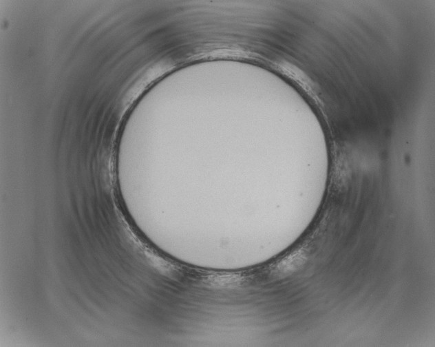 X0000066521282200604071543