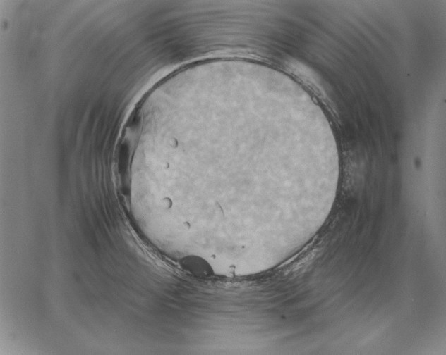 X0000066521284200604071543