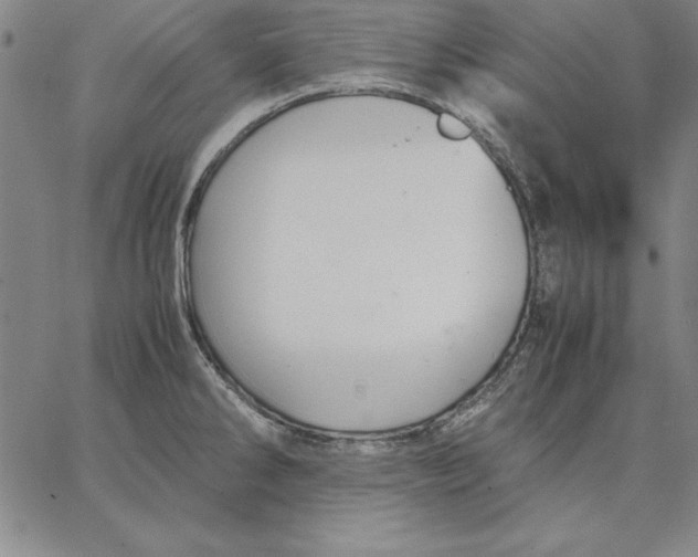 X0000066521286200604071543