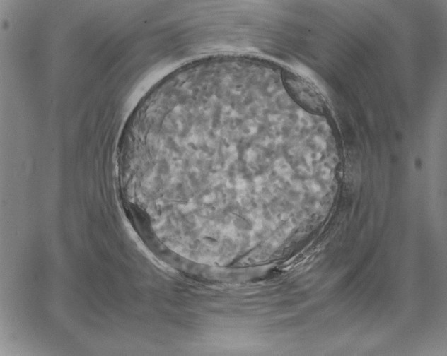 X0000066521287200604071543