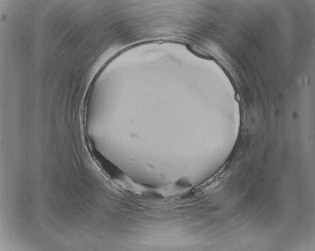 X0000066521291200604071542