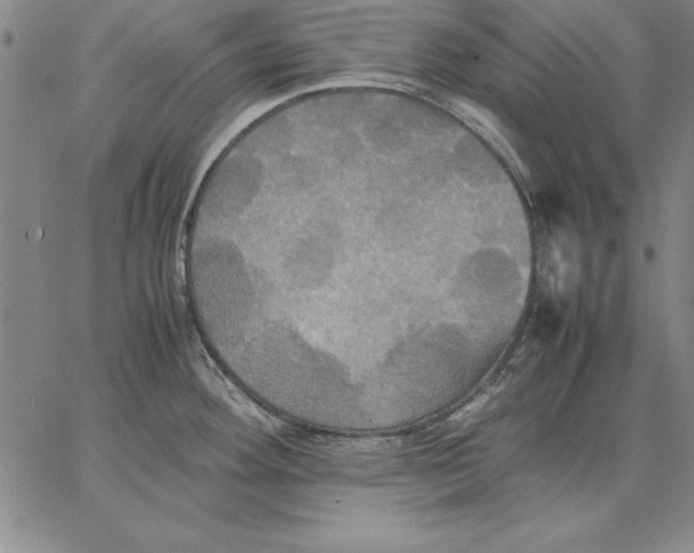 X0000066521292200604071542