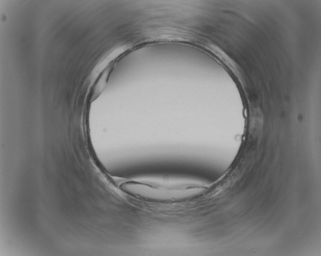 X0000066521293200604071542