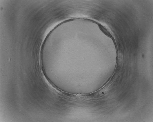 X0000066521295200604071542