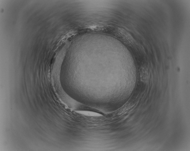 X0000066521298200604071542