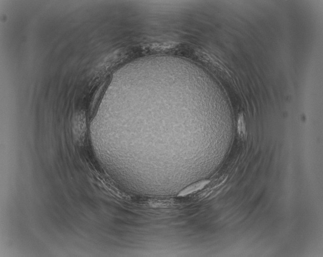 X0000066521299200604071542