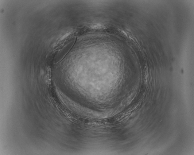 X0000066521301200604071542