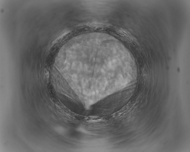 X0000066521302200604071542