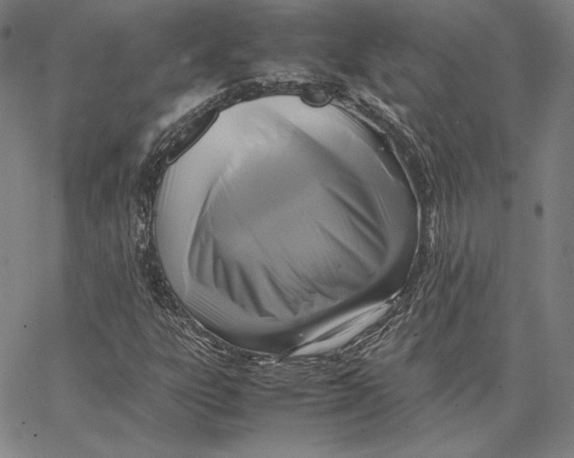 X0000066521303200604071542