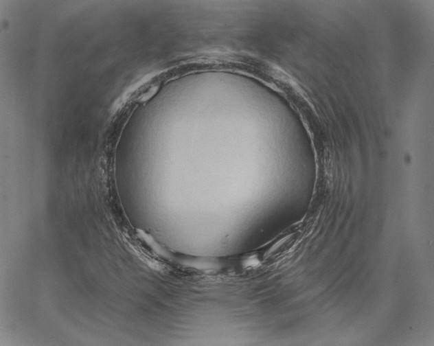 X0000066521304200604071542