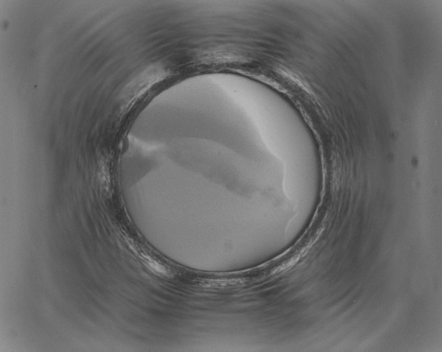 X0000066521305200604071542