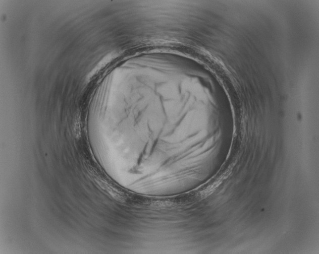 X0000066521306200604071542