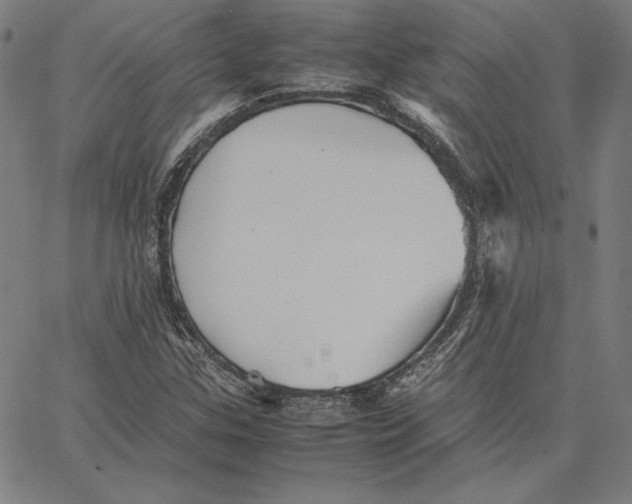 X0000066521307200604071542