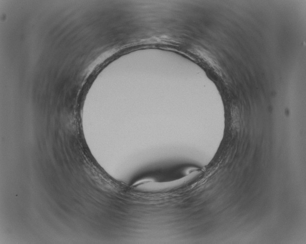 X0000066521308200604071542